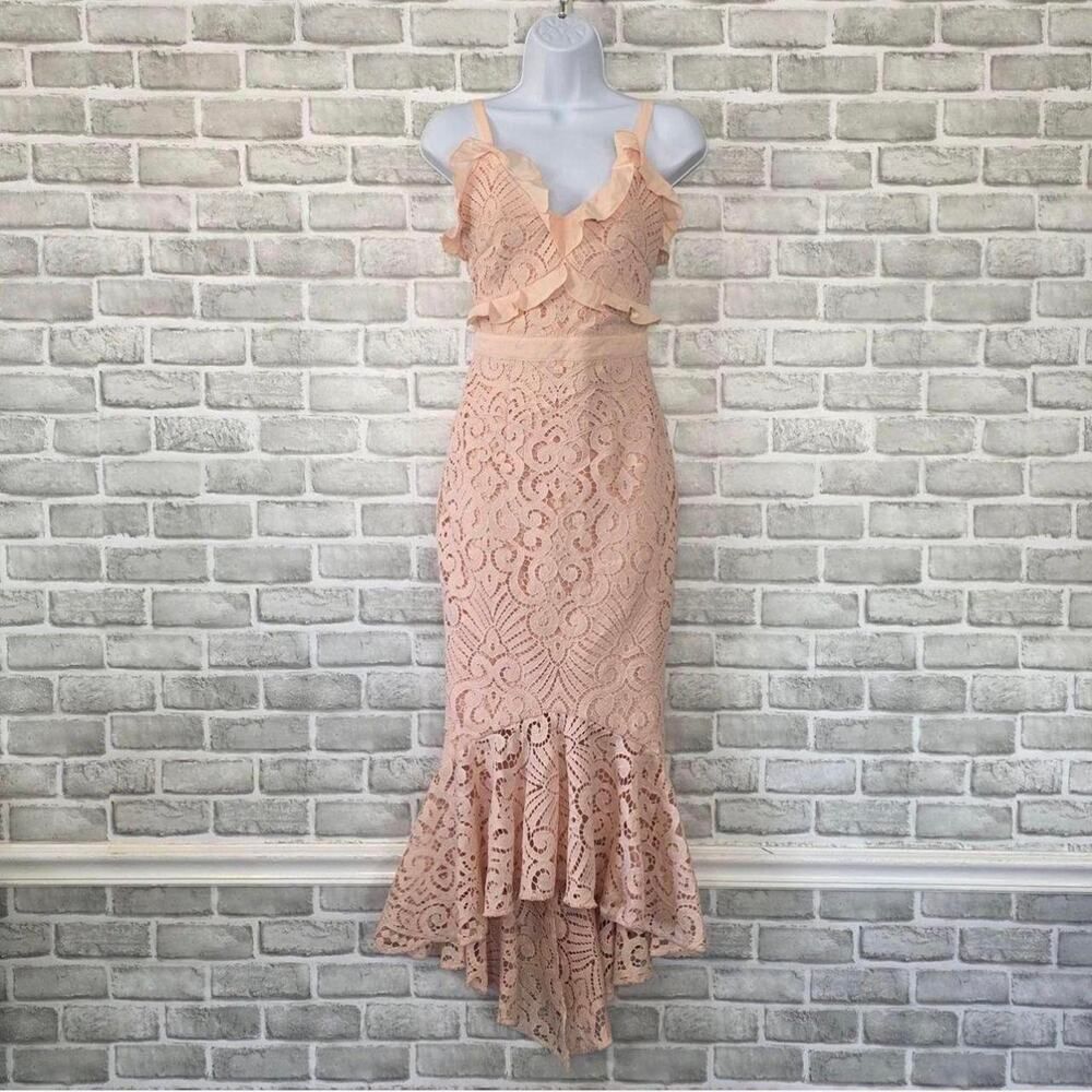 Two Sisters The Label Size 4/Small NWT Bridget Lace Dress in Pink